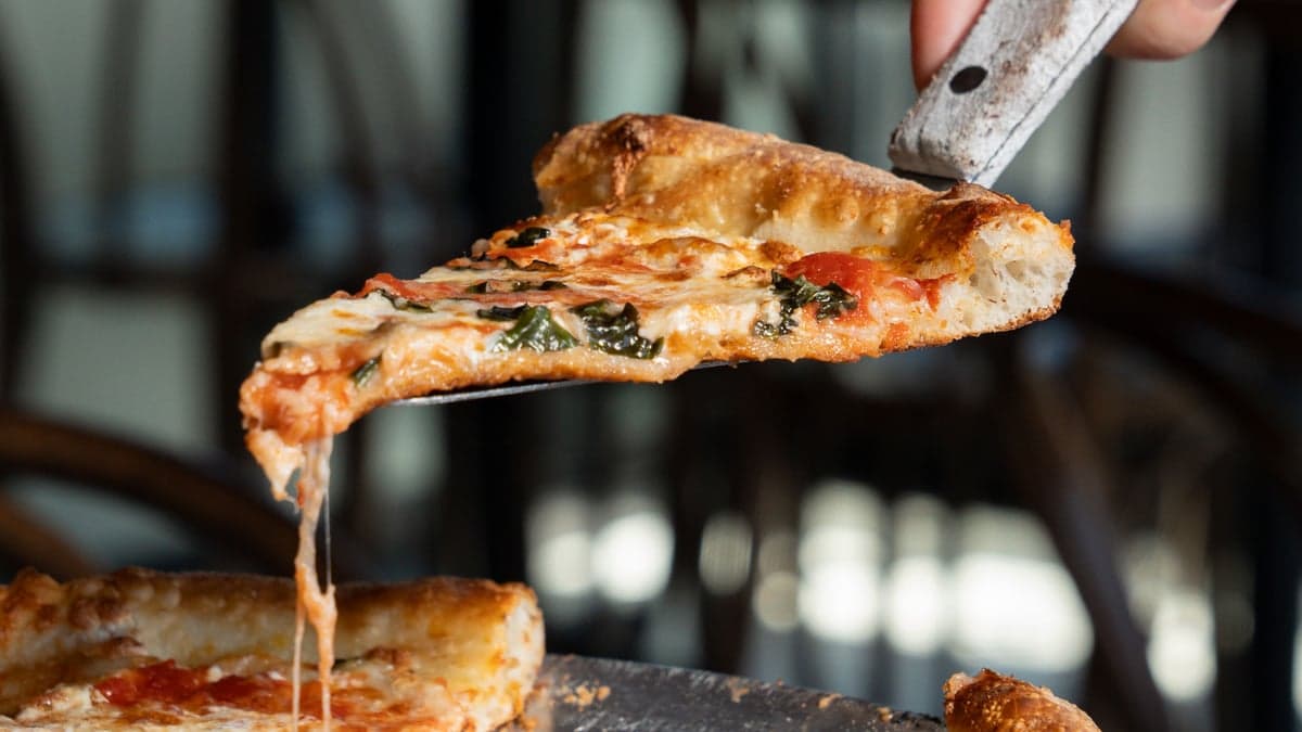 Le Serpent — best italian restaurants in Montreal, Spring 2026