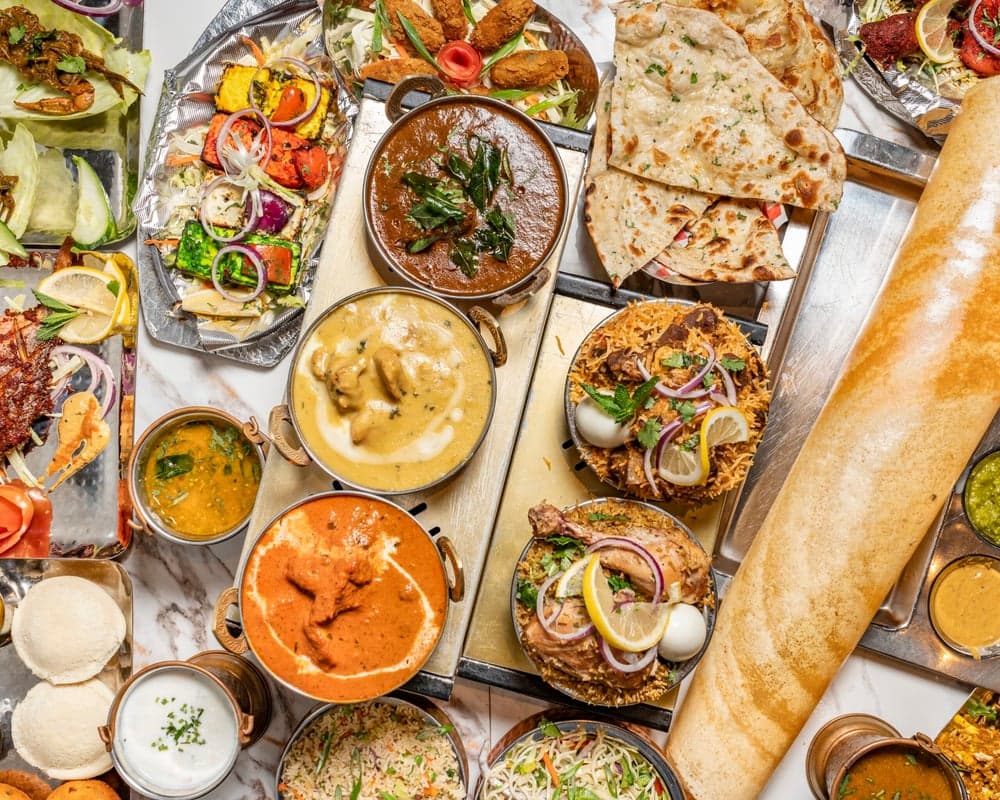 Raja Chettinad Fine Indian Kitchen (South Indian, North Indian, Indo-Chinese & Halal) — best indian restaurants in Toronto, Spring 2026