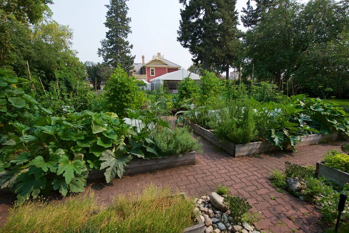 Rouge — best restaurants in Calgary, Summer 2026