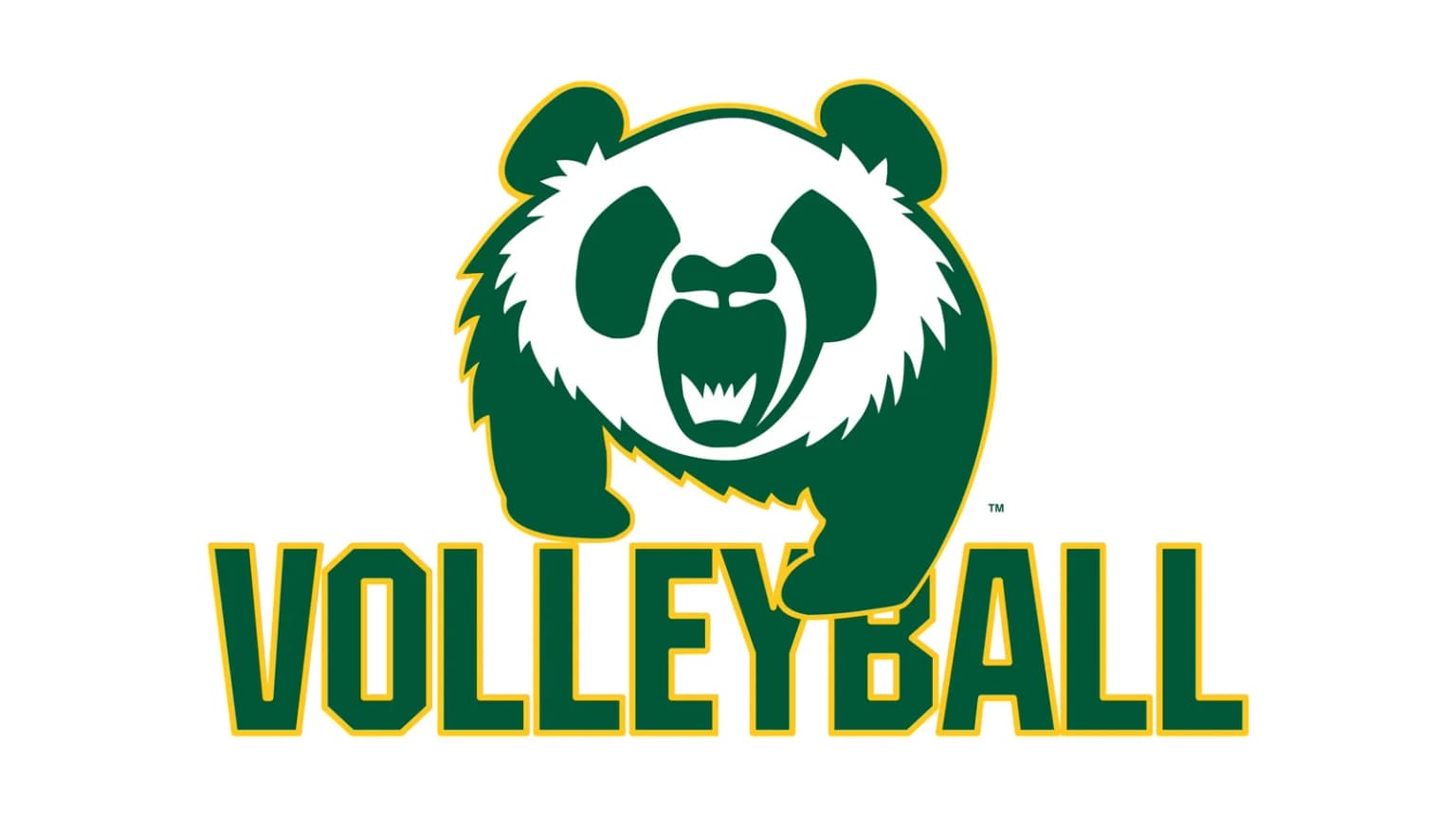 Pandas Volleyball New Years Classic - Day 1 event poster
