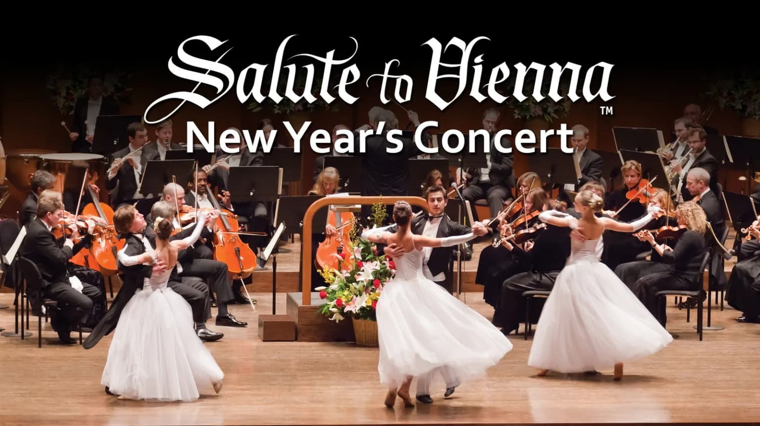 Salute To Vienna event poster