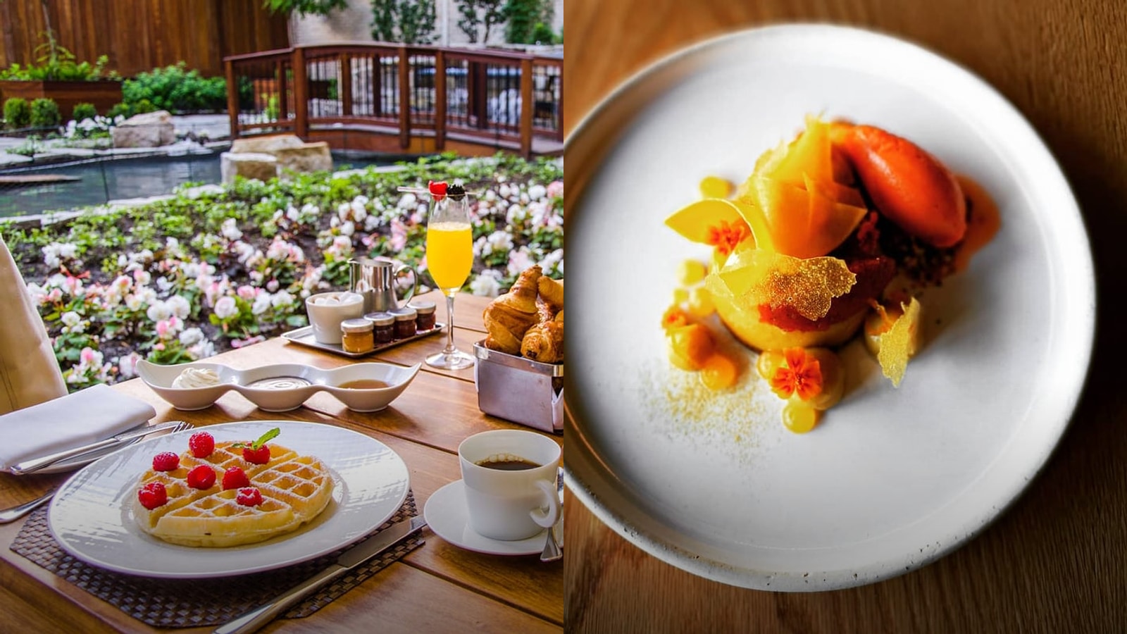 Best Special Occasion Restaurants in Montreal for Spring 2026