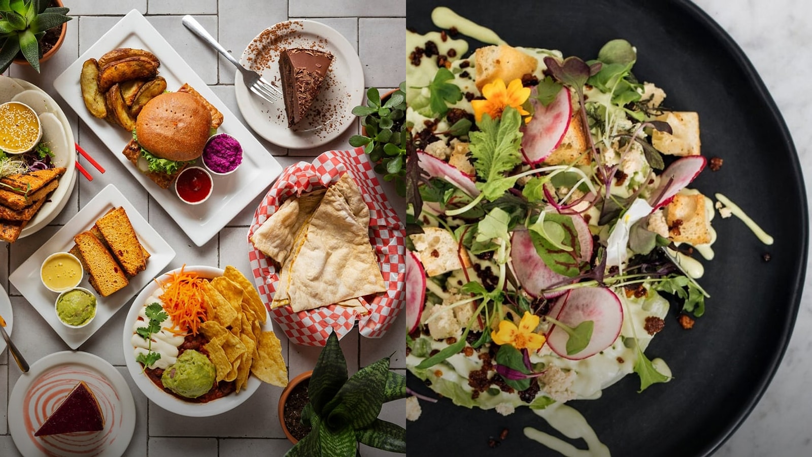 Best Vegetarian Restaurants in Montreal for Spring 2026