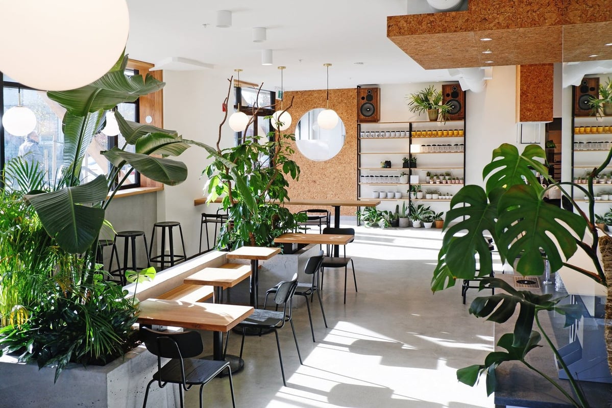 NOMAD Coffee & Bakery photo 3